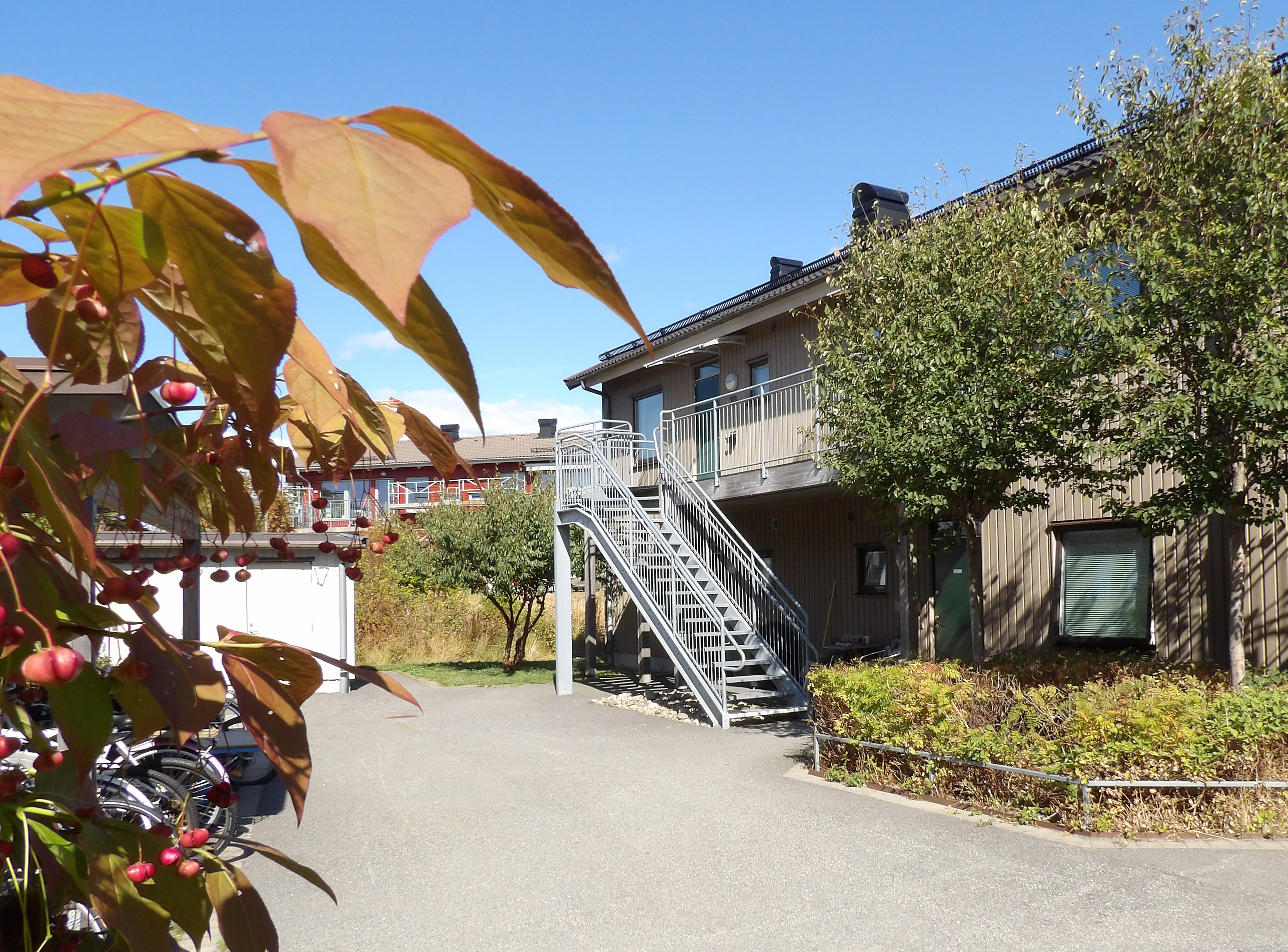 Kaponjärsvägen gård sommar