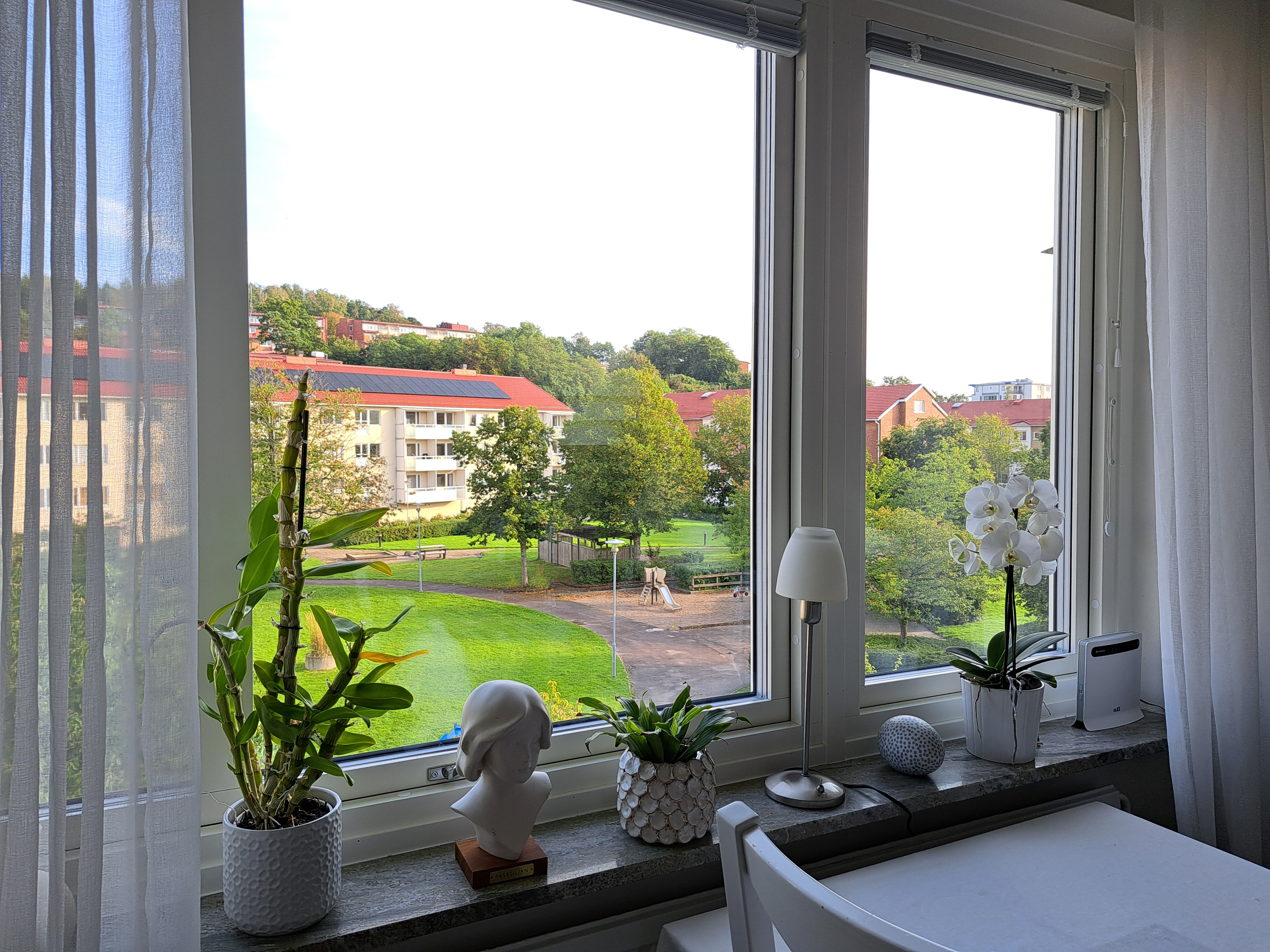 Vy från ett köksfönster, innergård