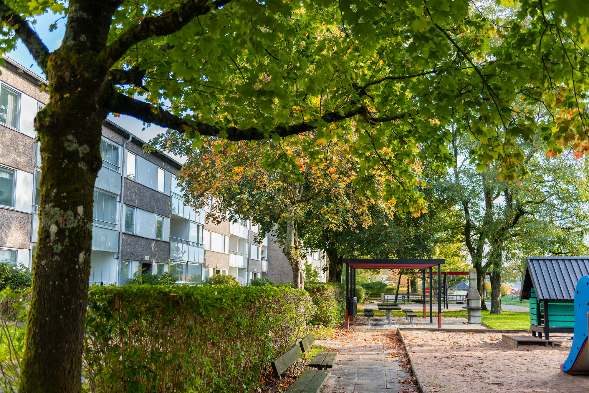 Träd och lekplats på innergård