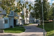 Image missing alt text