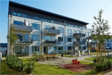 Image missing alt text