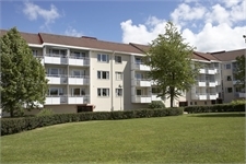 Image missing alt text