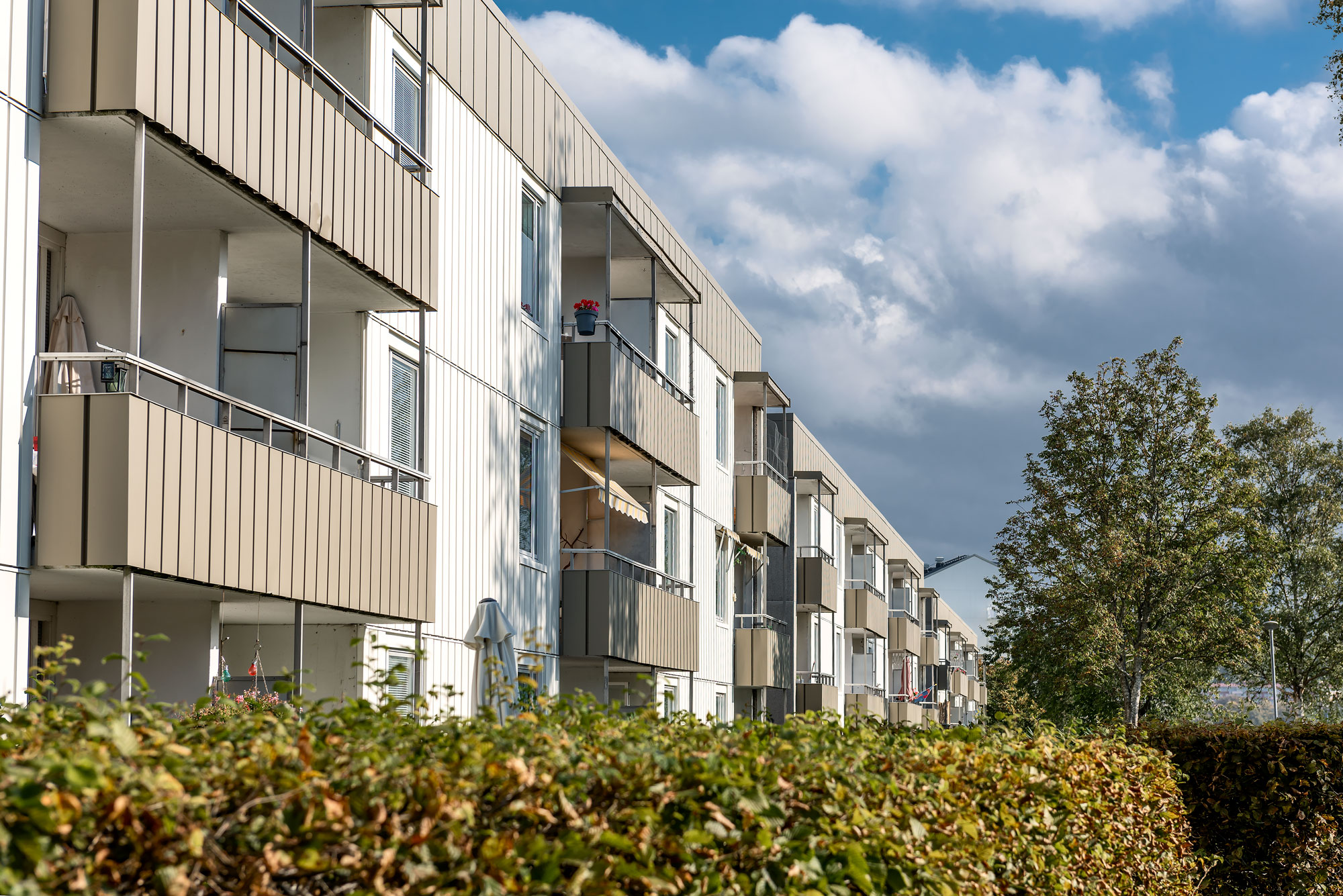 /Global/DisplayMultimediaDescription.ashx?guid=420a8520-8d88-4ec2-958b-c473e666ba59