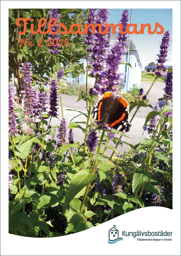 /Global/DisplayMultimediaDescription.ashx?guid=98b8f69f-3a52-4114-a217-413a134735b7