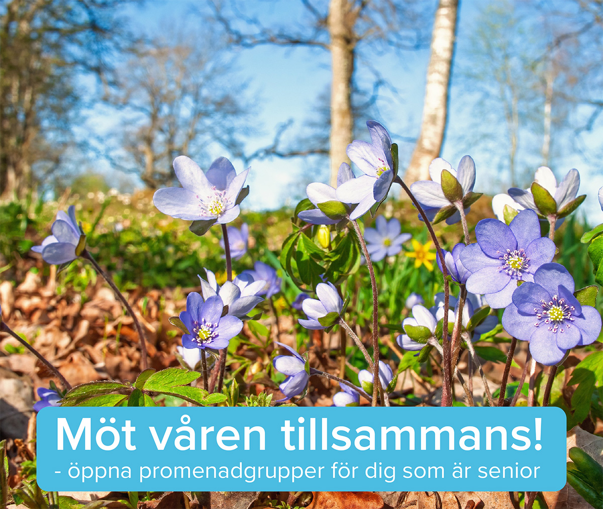 /Global/DisplayMultimediaDescription.ashx?guid=a15396c5-3eb7-415c-ba64-f8bcb1e7c2f0